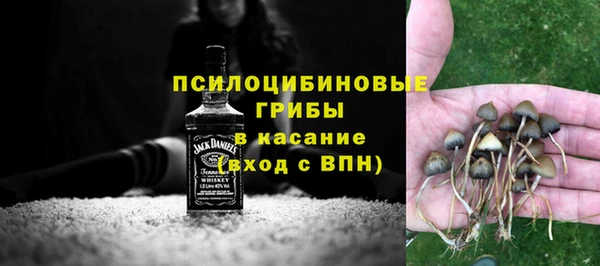 ECSTASY Абинск
