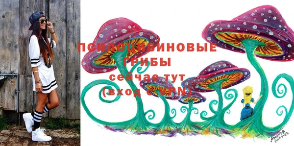 ECSTASY Абинск